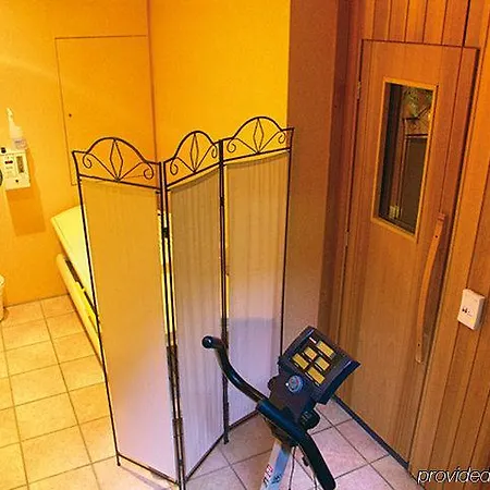 Akzent Roter Löwe 3* Ulm